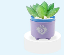 Charger l'image dans la galerie, Tasses à Empiler - 8 Pièces Multicolores - Jouet Éducatif pour Enfants