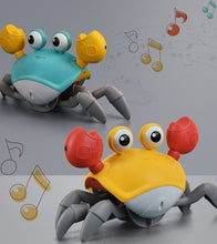 Charger l'image dans la galerie, Le Crabe Électrique