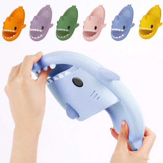 Claquettes Requin Unisexe